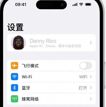 六安appleID维修服务iPhone设置中Apple ID显示为灰色无法使用