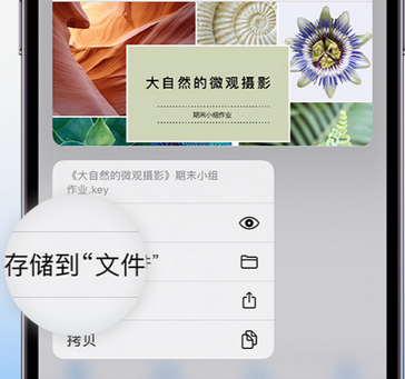 六安apple维修中心分享iPhone文件应用中存储和找到下载文件