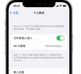 六安apple服务站点分享iPhone上个人热点丢失了怎么办 