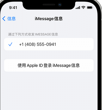 六安apple维修iPhone上无法正常发送iMessage信息 