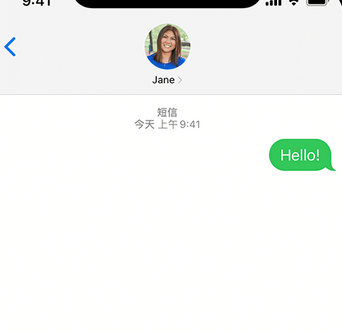 六安apple维修iPhone上无法正常发送iMessage信息