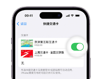 六安apple维修点分享iPhone上更换Apple Pay快捷交通卡手绘卡面 