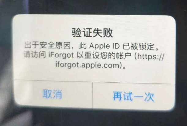 六安iPhone维修分享iPhone上正常登录或使用AppleID怎么办 