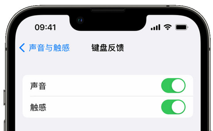 六安苹果手机维修分享iPhone 14触感键盘使用方法 