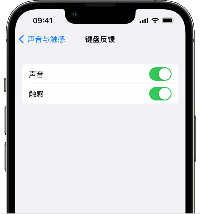 六安苹果14维修店分享如何在 iPhone 14 机型中使用触感键盘 