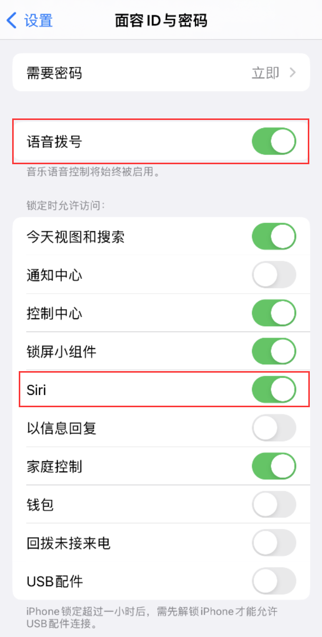 六安苹果维修网点分享不解锁 iPhone 的情况下通过 Siri 拨打电话的方法 