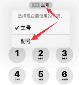 六安苹果14维修店分享iPhone 14 Pro Max使用副卡打电话的方法 