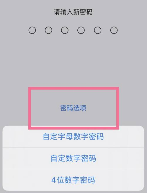 六安苹果14维修分享iPhone 14plus设置密码的方法 