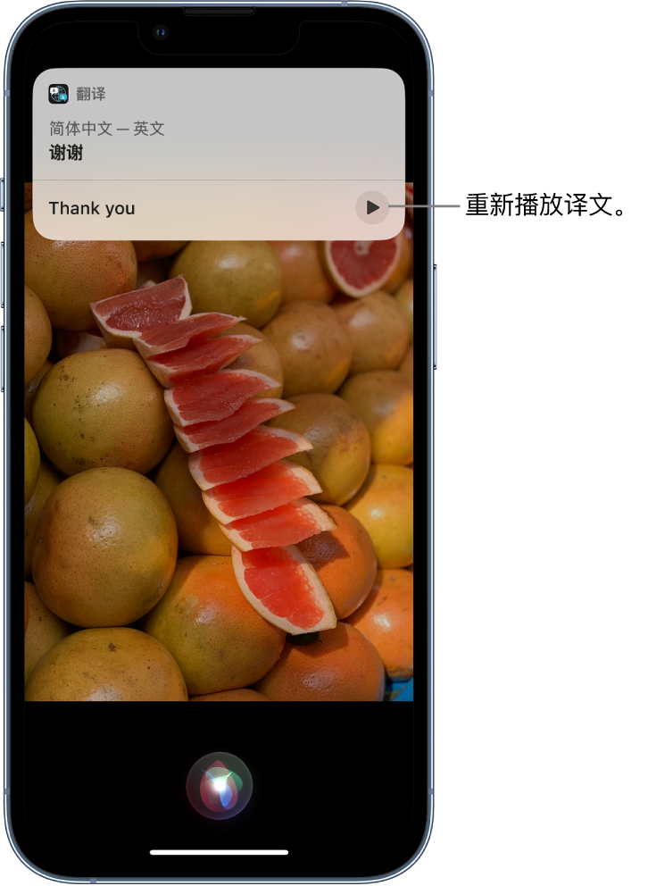 六安苹果14维修分享 iPhone 14 机型中使用 Siri：了解 Siri 能帮你做什么 