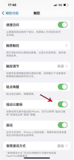 六安苹果手机维修分享iPhone手机如何设置摇一摇删除文字 